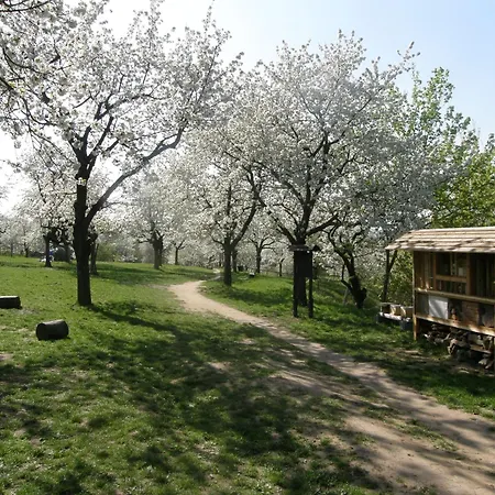 Albergue Toulcuv Dvur