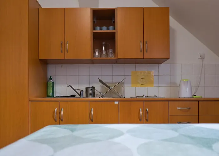 Toulcuv Dvur Vandrerhjem Prag